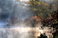 Into the Mist