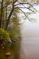 Late April Morning