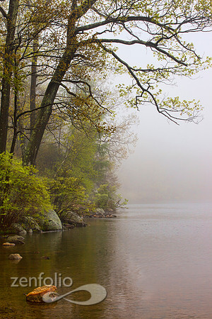 Late April Morning
