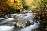 Rush of Fall