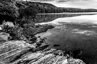 Leading Edge