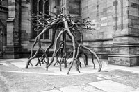 Roots
