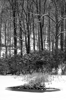 Skannatati Winter