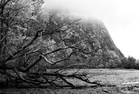 Low Tide at Storm King Mountain