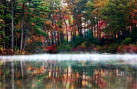 Colors of the Mist