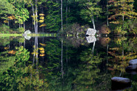 Autumn Preview
