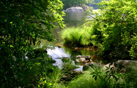 Skannatati Scape