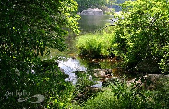 Skannatati Scape