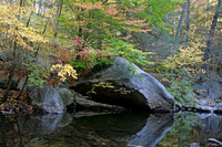 Stony Brook Reflections