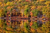 Reflections