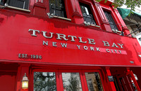 Turtle Bay