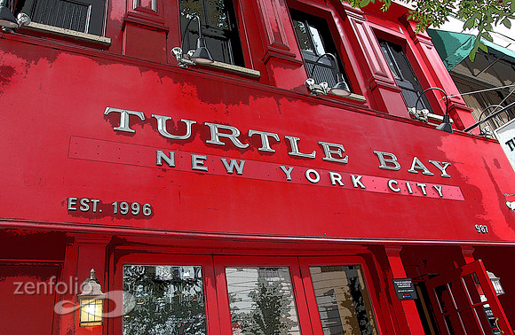 Turtle Bay