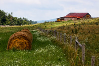 Hay Bales