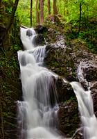 Appalachian Cascade