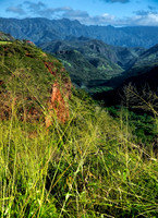 Kaua'i Countryside