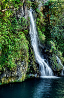 Falls and Flora-Maui