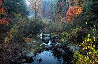 Autumn Wilderness