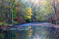 Turn In The River