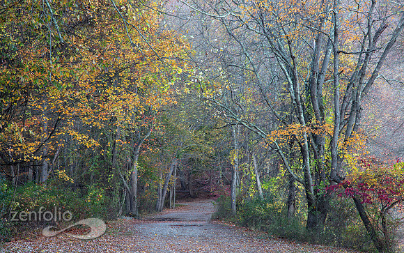 Pathway To Autumn