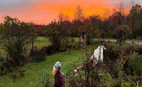 Halloween Sunrise 25