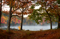 Late October Morning