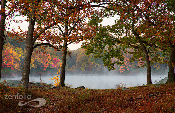 Late October Morning