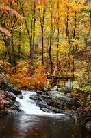 Autumn Stand