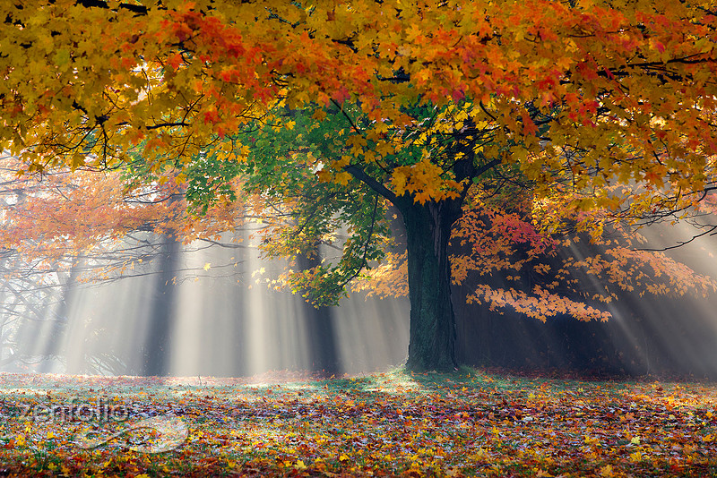 Spiritual Awakening