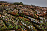 Cadillac Mountain Top