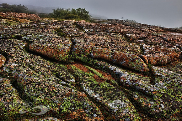 Cadillac Mountain Top