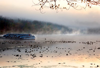 Sunrise Mist