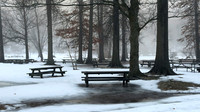 Winter Picnic