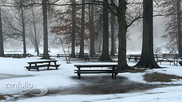 Winter Picnic