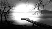 Branches