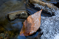Seasonal Contrast
