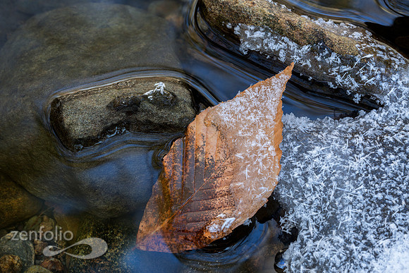 Seasonal Contrast