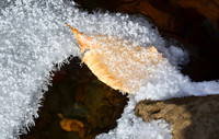 Floating Crystals