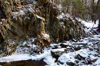 Evergreen and Ice