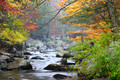 Foggy Brook Morning