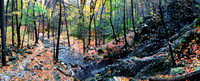 Autumn On The AT. NY