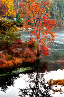 Autumn on Point