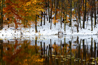 Autumn Blanket