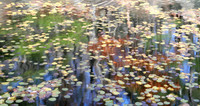 Lake Visions
