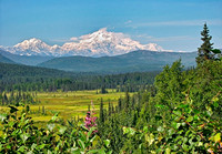 Denali
