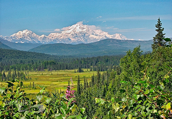 Denali