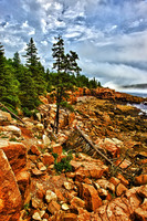 Coastline Contrast