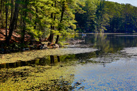 Kanawauke Spring