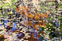 Lake Visions 2.0