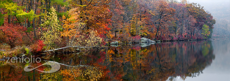 Woodland Palette
