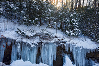 Winter Light